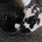 Denise Hood Pearson - @denisehoodpearson - Instagram
