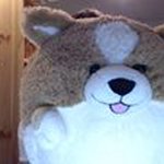 Denise Hoyle - @mumsfacebookaddress - Instagram