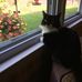 Denise Huber - Facebook