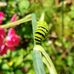 Denise Huber - Facebook