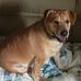 Denise Hyatt - Facebook