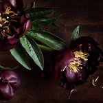 Denise Irwin Design - @denise_irwin_design - Instagram