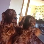 Denise Ison - @denise_ison61 - Instagram