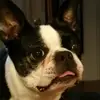 Denise Jacobsen763 - @denisejacobsen1998 - TikTok