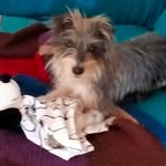 Denise Jeffrey - @denise_jeffrey_1961 - Instagram