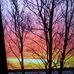 Denise Jeffrey - Facebook