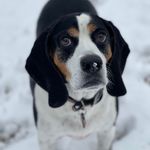 Denise Joiner Chapman - @denise.chapman.333 - Instagram