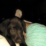 Denise Joyce - @denisejoyce6448 - Instagram