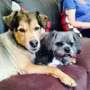 Denise Joyce - @denise.joyce7 - TikTok