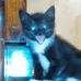 Denise Kaiser - Facebook