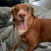 Denise - @denisekato1 - TikTok