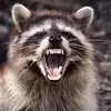 Denise Keefer738 - @neesiek01 - TikTok