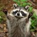 Denise Keefer - Facebook