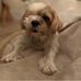 Denise Kemp - Facebook