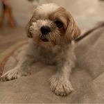 Denise Kemp - @d.l.kemp - Instagram