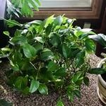 Denise Kern Strickland - @strickland6371 - Instagram