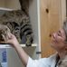 Cat Doctor: Denise Kessler DVM - Facebook