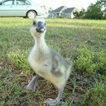 Denise Verrett Keyser - @denise.keyser - Instagram