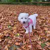 denisekeysers - @mira_belle85 - TikTok