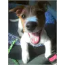 Denise Khan - @user257930176 - TikTok