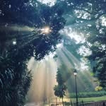 Denise Ang - @denisekhoon - Instagram