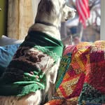 Denise Kilmetz Khoo - @k3khoo - Instagram