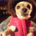 Denise Kinnear - Facebook