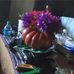 Denise Klink - Facebook