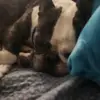 DeniseK - @deniseklotzman - TikTok