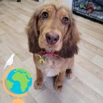 Denise Knott - @knottdenise - Instagram