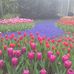 Denise Knott - Facebook