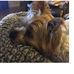 Denise Knuth - Facebook
