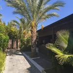 Denise Kohn - @denise.kohn.77 - Instagram