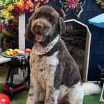 Greg Denise Kopa - @gregkopa - Instagram