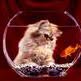 Denise Laforge - Facebook