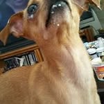 Denise Lancaster - @dkl.lancaster - Instagram