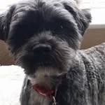 denise lancaster - @raggie668 - Instagram