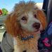 Denise Lancaster - Facebook