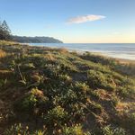 Denise Langdon - @par_nz_golfing_holidays_ - Instagram