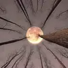 deniselynnlangdon - @deniselynnlangdon - TikTok