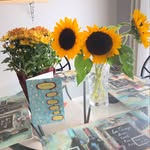 Deniselawless - @deniselawless75 - Instagram