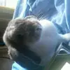 Denise Leder - @deniseleder - TikTok