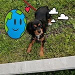 Denise Levesque - @levesque2501 - Instagram