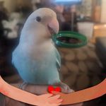 Denise Levesque - @denise.levesque.58 - Instagram