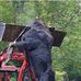 Denise Levesques - Facebook