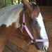 Denise Lilly - Facebook