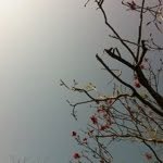 @deniseling - Instagram