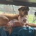 Denise Lish - Facebook