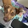 deniselish588 - @deniselish588 - TikTok
