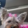 Denise Mabry Sprick - @denise.mabry.spri - TikTok